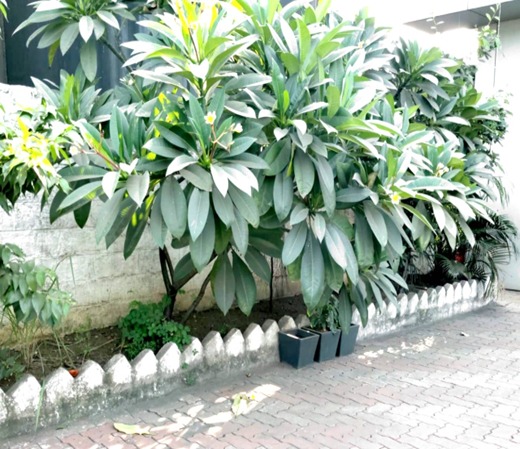 Product 4